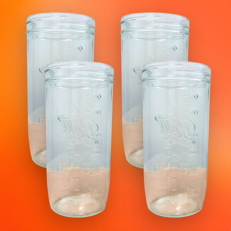 FoodVault™ Glass Mason Jars